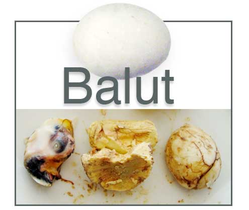 balut